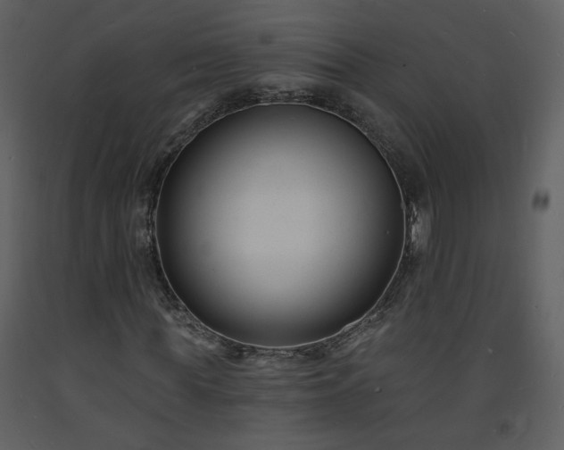 X0000093600819200710221545