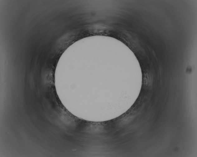 X0000093600820200710221545