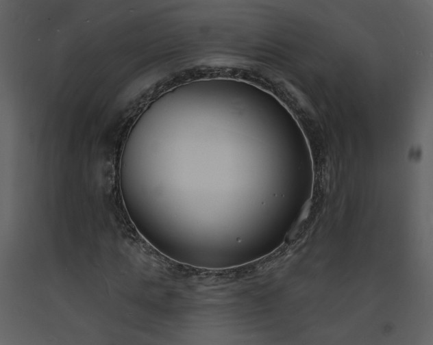 X0000093600821200710221545