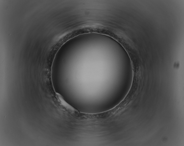 X0000093600822200710221545