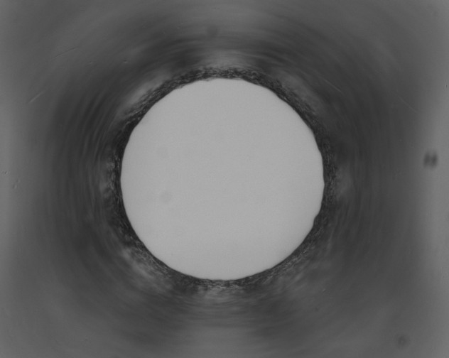 X0000093600824200710221545