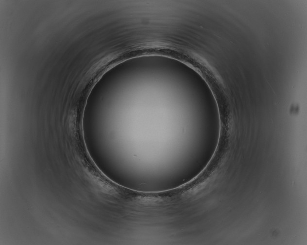 X0000093600825200710221545