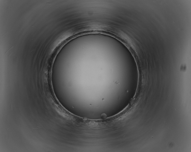 X0000093600827200710221545