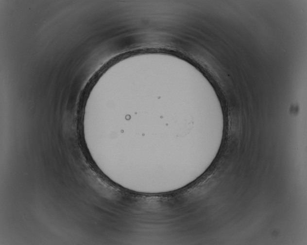 X0000093600828200710221545