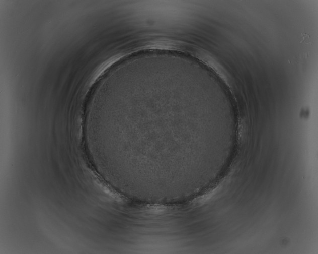 X0000093600829200710221545