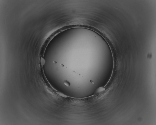 X0000093600830200710221545