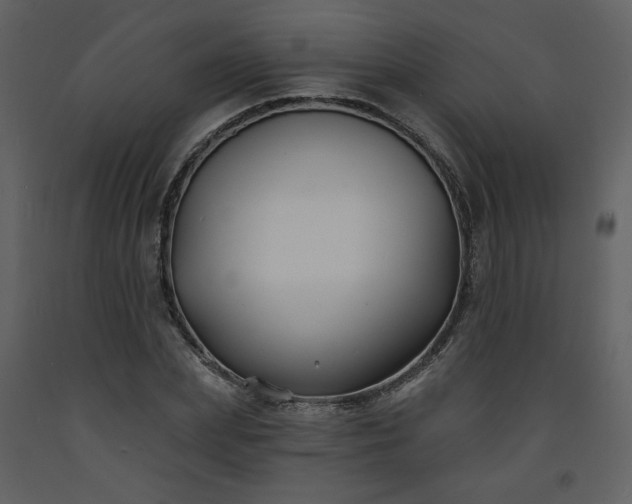 X0000093600831200710221545