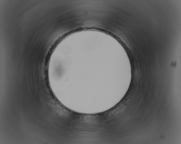 X0000093600832200710221545