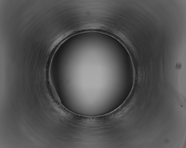 X0000093600834200710221545