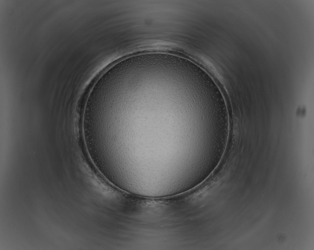 X0000093600835200710221545