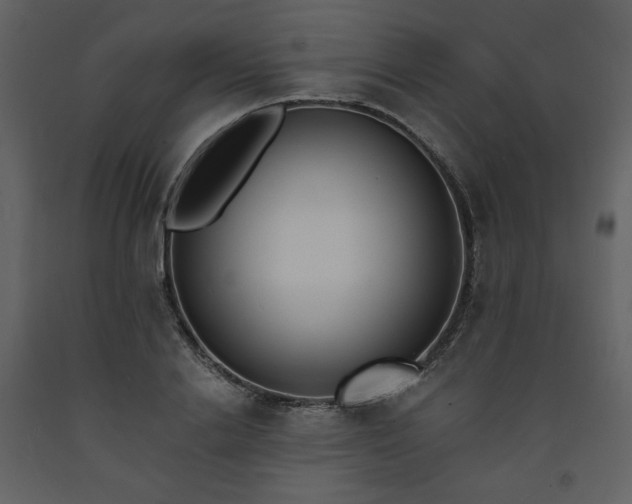 X0000093600838200710221545