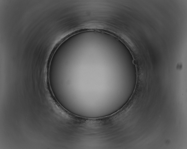 X0000093600840200710221545