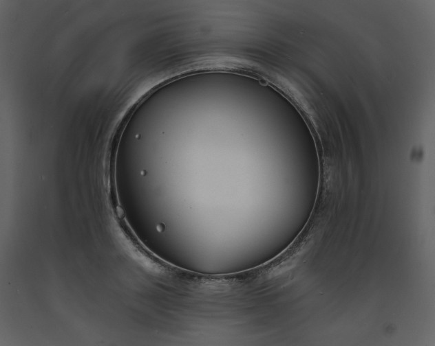 X0000093600843200710221546