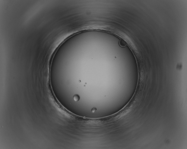 X0000093600844200710221546