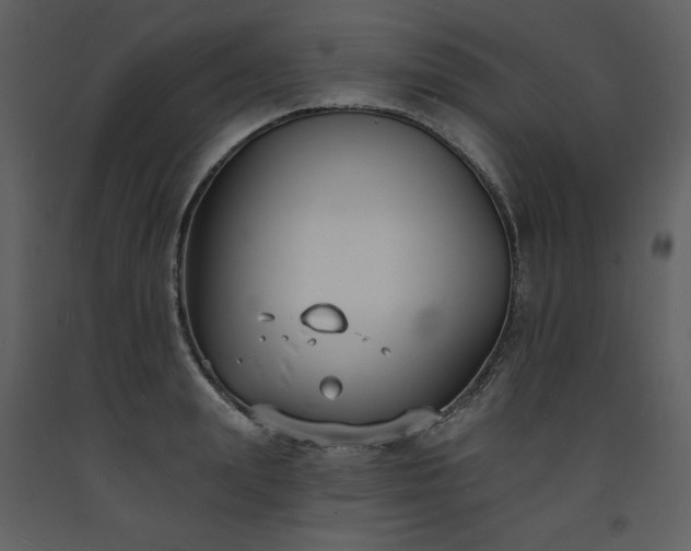 X0000093600847200710221546