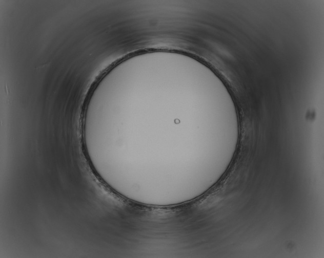 X0000093600848200710221546