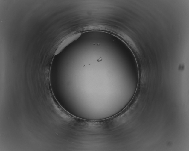 X0000093600849200710221546