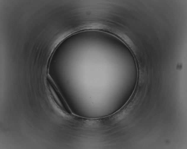 X0000093600850200710221546