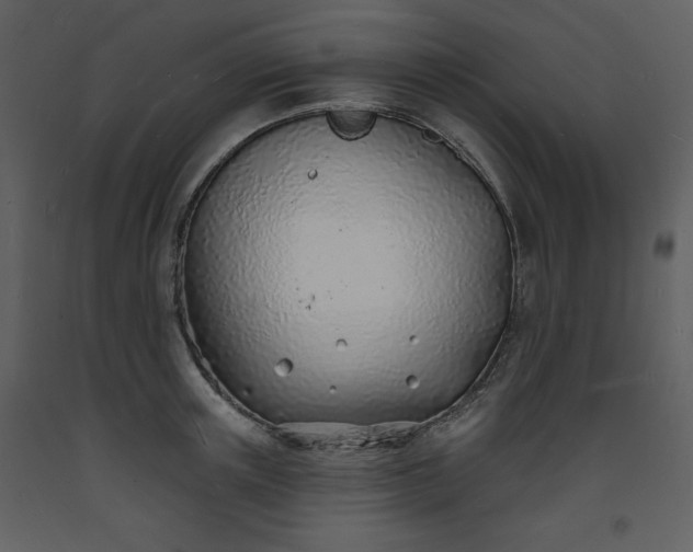 X0000093600851200710221546