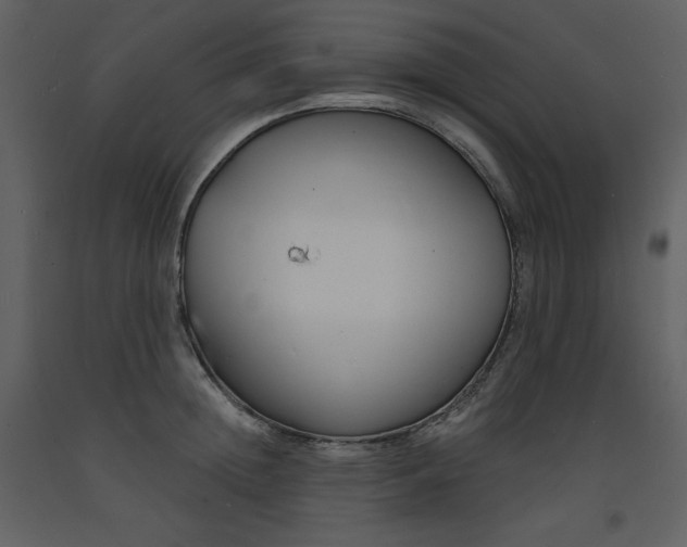 X0000093600852200710221546