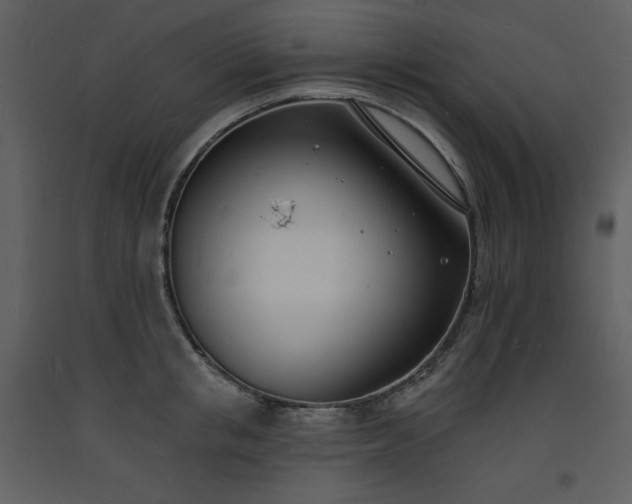 X0000093600853200710221546