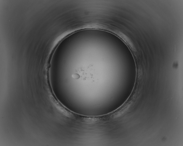 X0000093600854200710221546