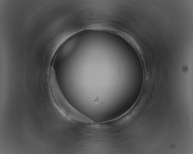 X0000093600855200710221546