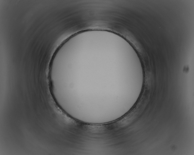 X0000093600856200710221546