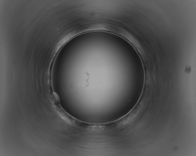 X0000093600858200710221546