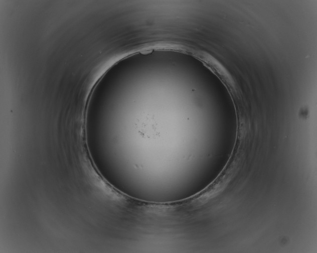 X0000093600860200710221546