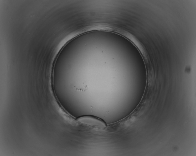 X0000093600861200710221546