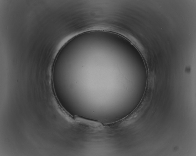 X0000093600862200710221546