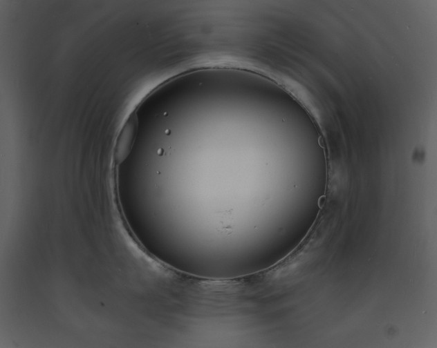 X0000093600863200710221546