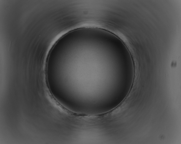 X0000093600864200710221546