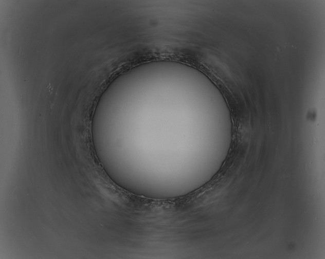 X0000093600865200710221545