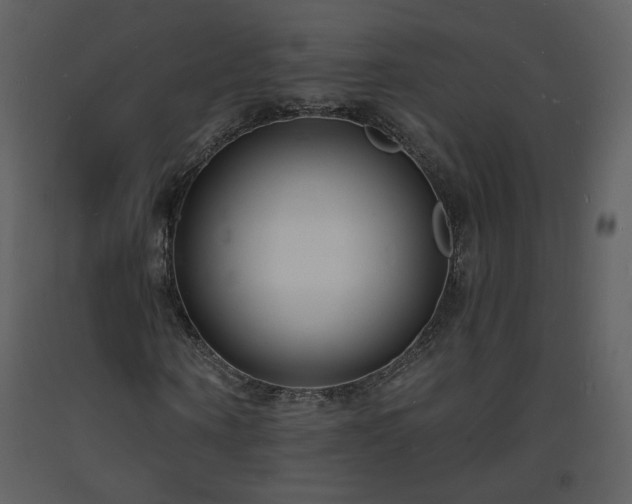 X0000093600866200710221545