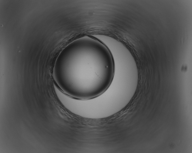 X0000093600868200710221545