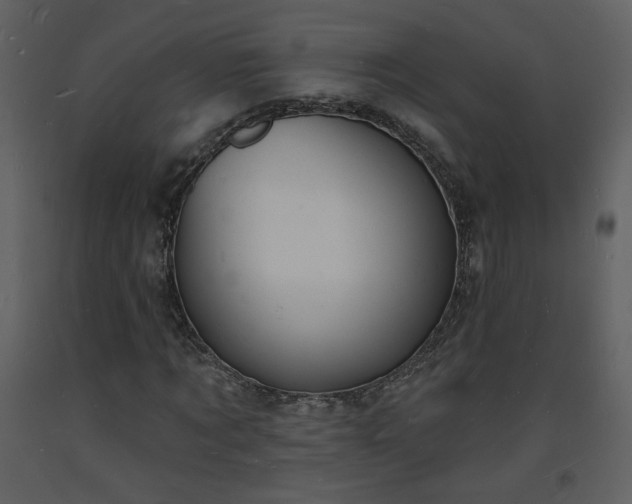 X0000093600869200710221545