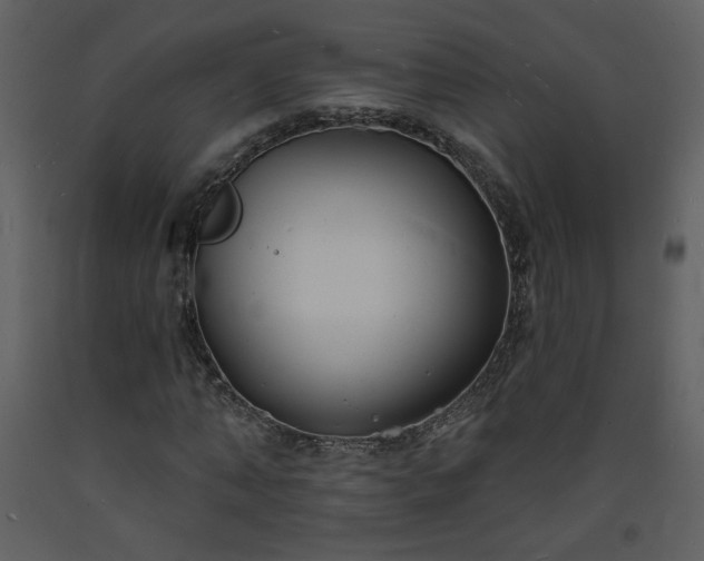 X0000093600870200710221545