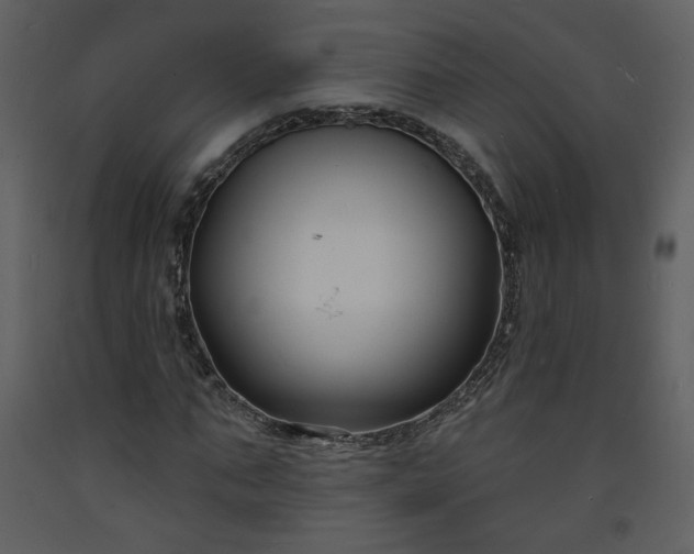 X0000093600871200710221545