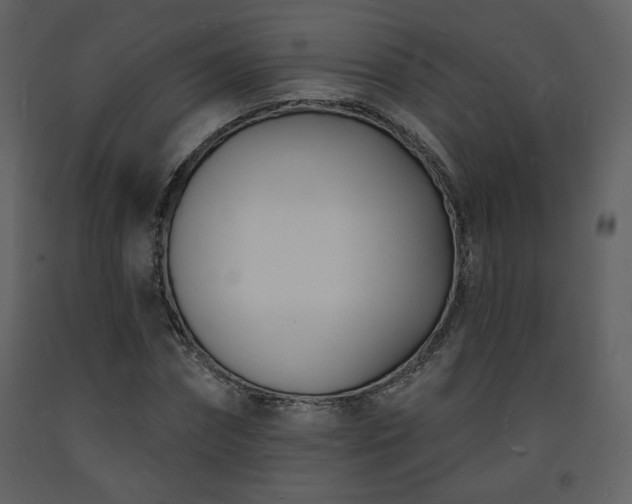 X0000093600874200710221545