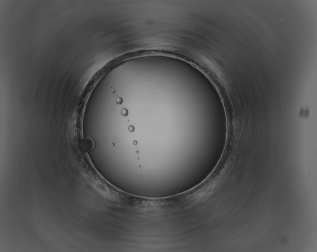 X0000093600875200710221545