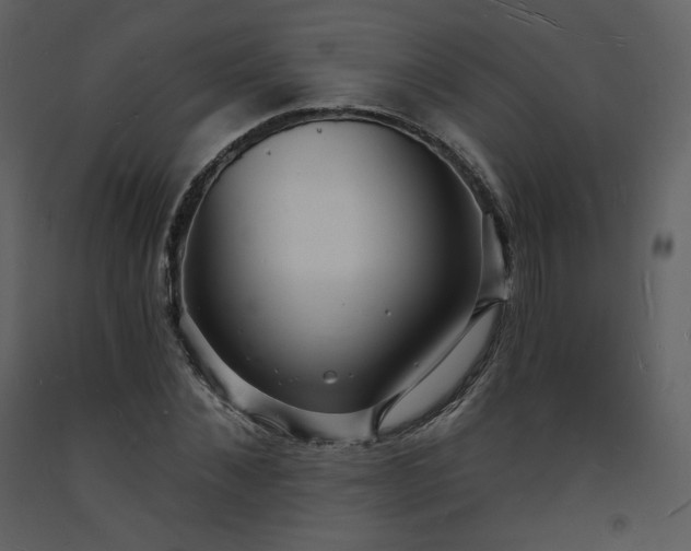 X0000093600876200710221545