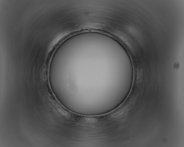 X0000093600878200710221545