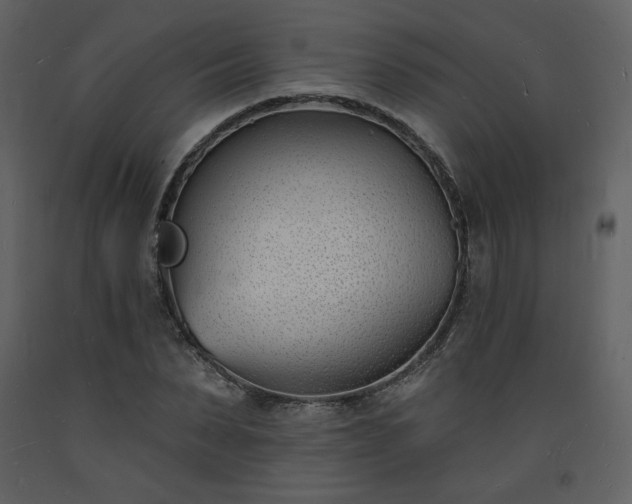 X0000093600879200710221545