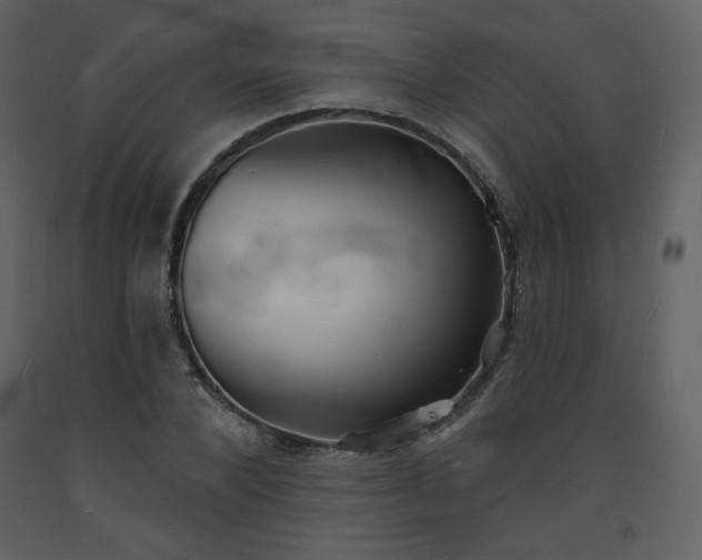 X0000093600880200710221545