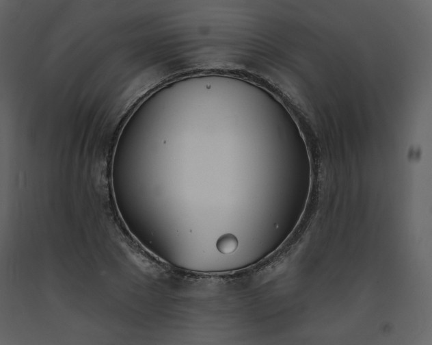 X0000093600881200710221545