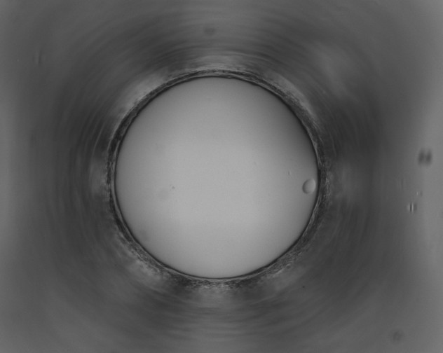 X0000093600882200710221545