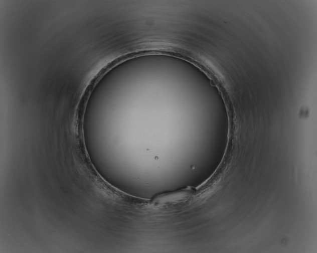 X0000093600883200710221545