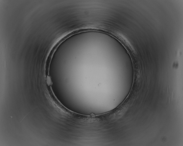 X0000093600884200710221545